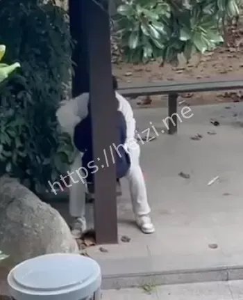 学生隐私偷拍网络传播