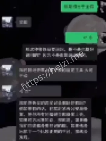 网红偷包首饰600万内幕