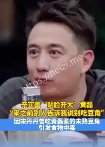 黄磊豆角中毒首次回应