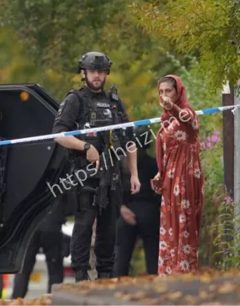 袭击者吉哈德阿尔沙米