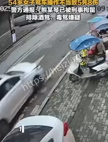 54岁司机刑拘肇事案