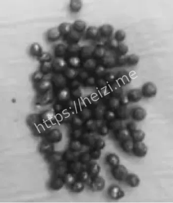 儿童意外脑出血恢复前景