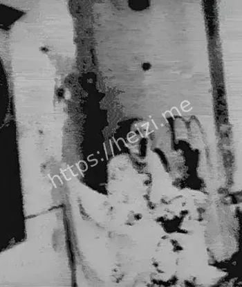 苏联睡眠剥夺实验30天全过程