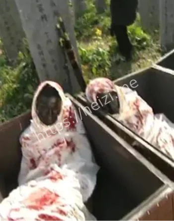 贾文革奸杀藏尸