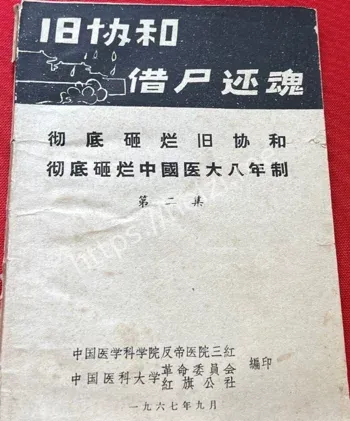 火化第七天复活