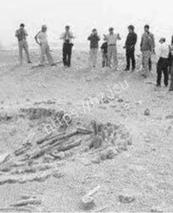 玉佩复制活鱼实验