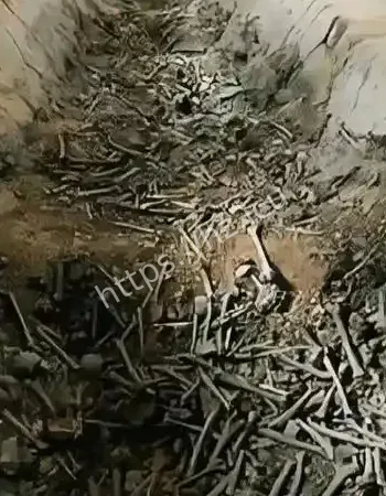 河靠镇妖塔镇压