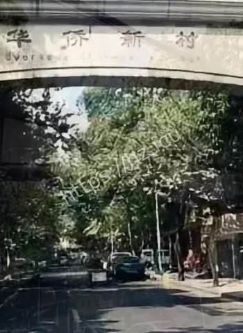 和平路7号乌鸦黑衣女人