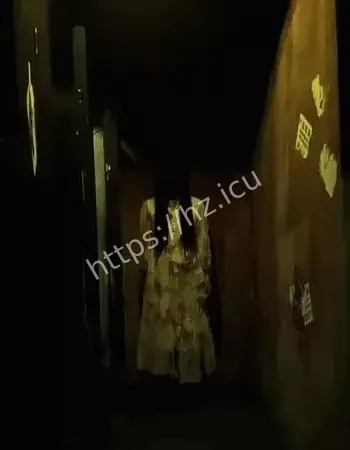 南山吊脚楼怨灵