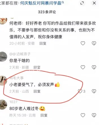 硬刚网友酸黄瓜