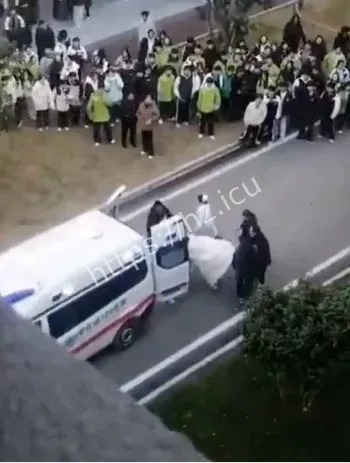 校园暴力警示
