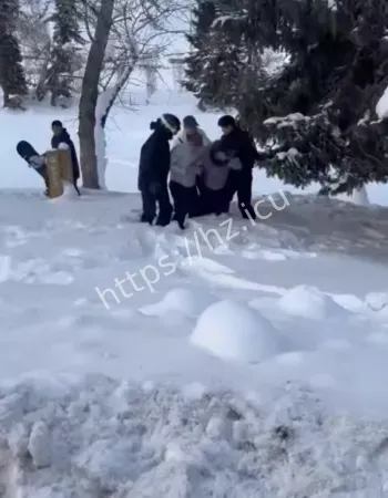 雪豹伤人事件