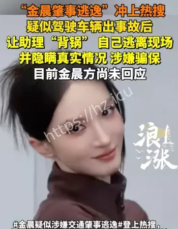 金晨逃逸案