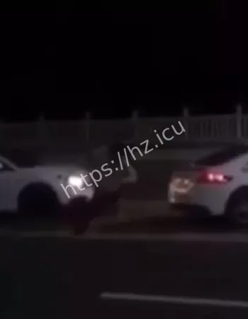 保时捷车主