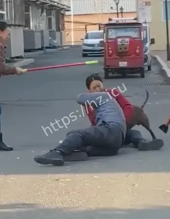 大爷遭比特犬疯狂撕咬