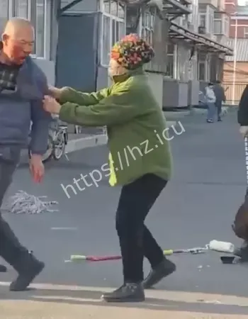 东北比特犬咬人事件