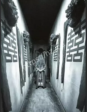 警察进屋集体失忆