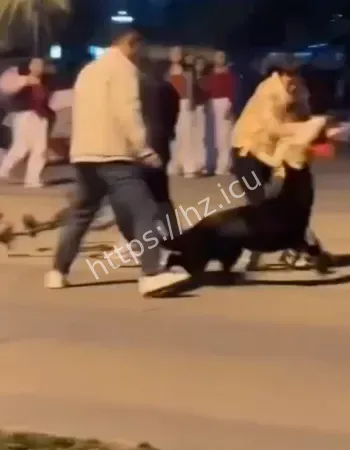 疯狗咬人事件