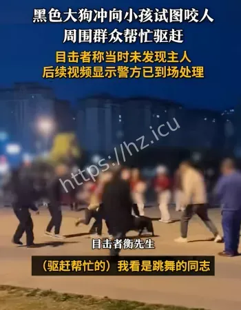 视频流出