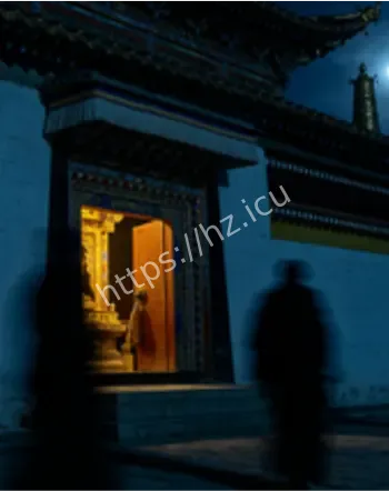 神汉林小新杀人卖尸案