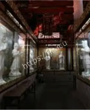 神汉林小新杀人卖尸案