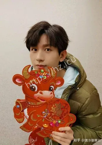 多位明星近况舆论