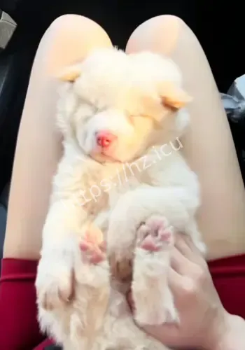 醉汉装醉拒付医疗费