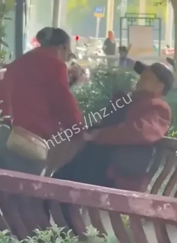 白天长椅旁若无人