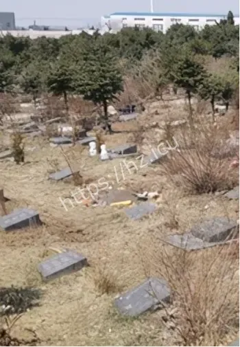 诡异外卖送错门