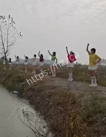 现场擦边跳舞引热议