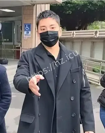 闪兵集团伪造资料认罪