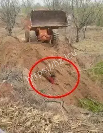 山西代县村支书