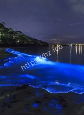 阿凡达梦幻世界