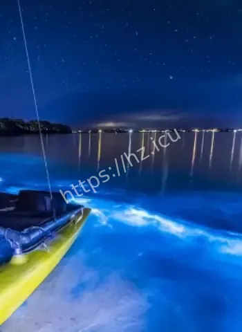 澳东部海岸惊现荧光海藻