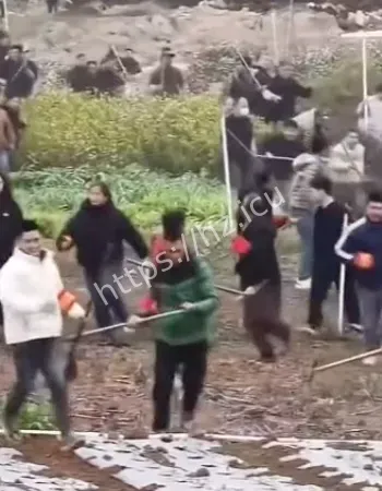 广西相邻村庄