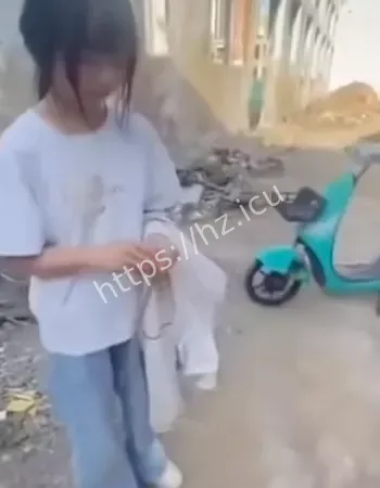 全网愤怒