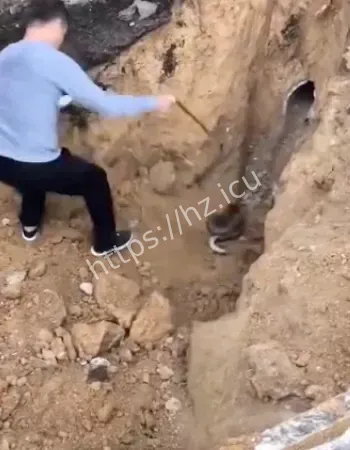 胆大包天操作