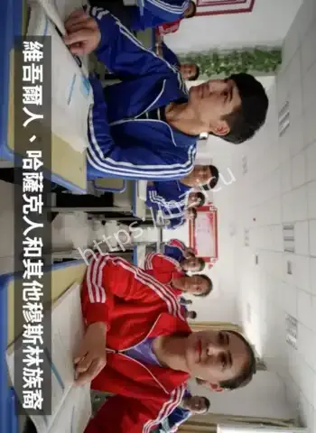 真相揭秘