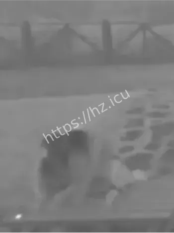 台湾景区事件