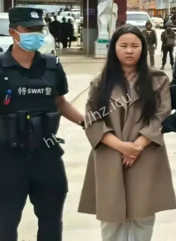 明珍珍