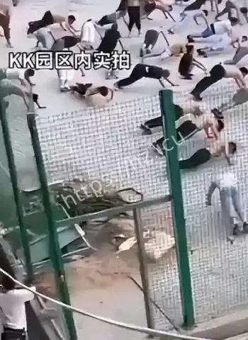 美女是电诈园区大佬