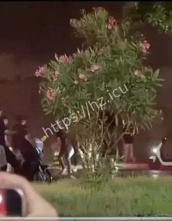 深夜大规模械斗事件