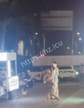 渔港公园打架事件