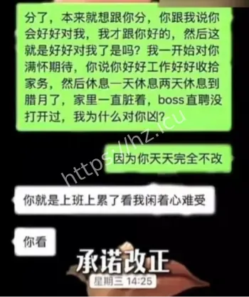 冰冻大狗变卖女友财物
