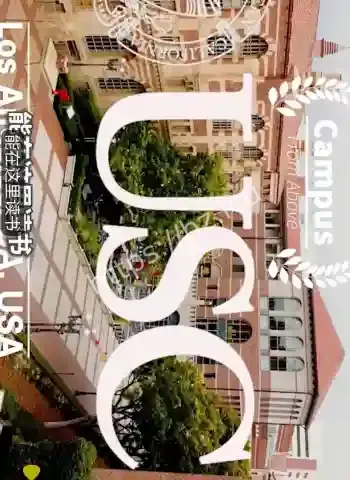 陈楚婷