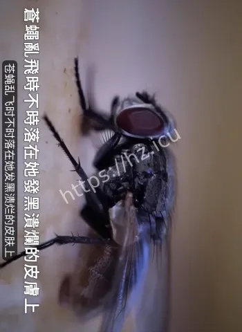 军人丈夫冷眼旁观算计