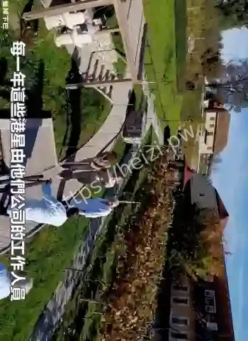 羊胎素返老还童骗局