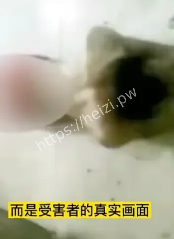 电诈园区被摧毁现场曝光