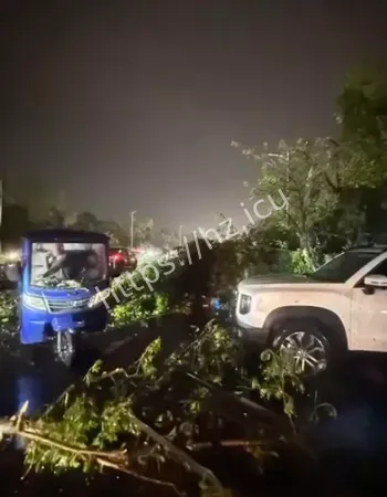现场震撼画面曝光