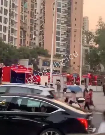 重庆市大渡口